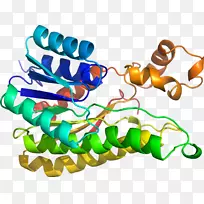 ���������л����߼�������-������