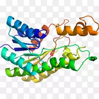 人体首饰有机体线剪贴画线-空若网 人体首饰有机体线剪贴画线-空若网