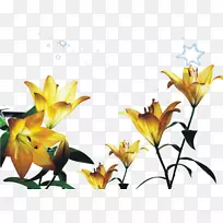 虎百合黄花-紫丁香海报背景材料-空若网 虎百合黄花-紫丁香海报背景材料-空若网