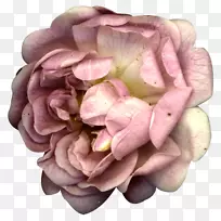 ˮ�ʻ�-ͯ����-������