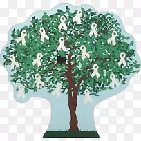 ������ֲ��-��-������