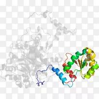 ��ľ������-��-������