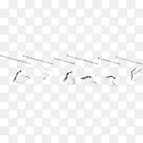 素描设计-空若网 素描设计-空若网