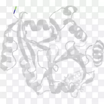 ��ɫ�������-������