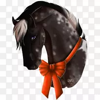 马钉-马-空若网 马钉-马-空若网