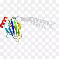 线点生物剪贴画线-空若网 线点生物剪贴画线-空若网