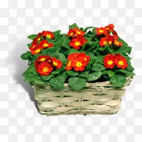 樱花花艺花盆切花.设计-空若网 樱花花艺花盆切花.设计-空若网