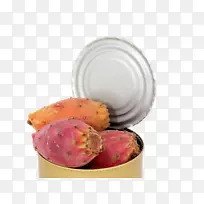 仙人掌下载-仙人掌特写-空若网 仙人掌下载-仙人掌特写-空若网