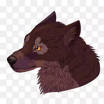 胡须狗猫毛鼻子狗-空若网 胡须狗猫毛鼻子狗-空若网