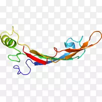 �ߵ������-��-������