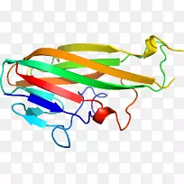 线点剪贴画-面包师酵母-空若网 线点剪贴画-面包师酵母-空若网