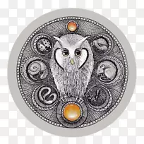 小猫头鹰猫头鹰和食谱-空若网 小猫头鹰猫头鹰和食谱-空若网