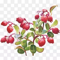 Ô½éÙÂûԽݮ¼ôÌù»-¿ÕÈôÍø Ô½éÙÂûԽݮ¼ôÌù»-¿ÕÈôÍø