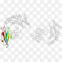 树设计-空若网 树设计-空若网