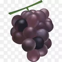 普通葡萄藤酒葡萄籽提取物-葡萄-空若网 普通葡萄藤酒葡萄籽提取物-葡萄-空若网