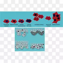 视觉艺术绿松石字体-空若网 视觉艺术绿松石字体-空若网