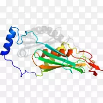 线点生物剪贴画线-空若网 线点生物剪贴画线-空若网