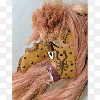 ����ëƤʳ��-��ͳ�ķ������-������