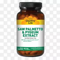 膳食补充剂维生素b-6b维生素片-空若网 膳食补充剂维生素b-6b维生素片-空若网