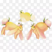 �߲˹���-������