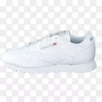 �˶�Ь����ѵ�����-������