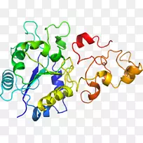 �ߵ������������-������