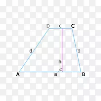 ֱ�����������򼸺�����������-������