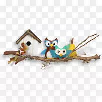 猫头鹰安卓壁纸-树枝鸟巢-空若网 猫头鹰安卓壁纸-树枝鸟巢-空若网