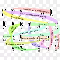 Ⱦɫ����λ�ѳ�Ⱦɫ���쳣����-������