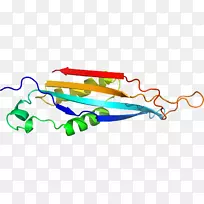 �ߵ������-��-������