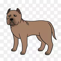 ����С��è����-С��-������