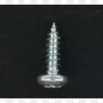 ��˿��-������