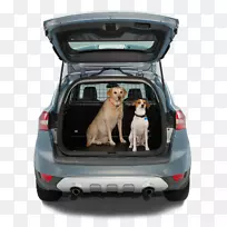 轿车车门奥迪运动型多功能车后备箱-奥迪-空若网 轿车车门奥迪运动型多功能车后备箱-奥迪-空若网