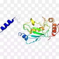 线点剪贴画-线-空若网 线点剪贴画-线-空若网