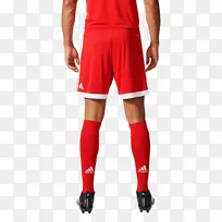 ���ϴ�˹�̿����������Ь��m�ͼ���-������