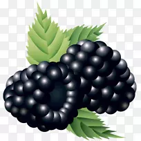 Խ��-��ݮ-������