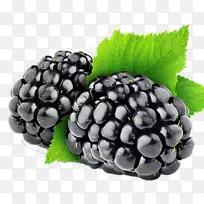 ��ݮ������-������