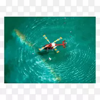 水下生物冒险电影-水-空若网 水下生物冒险电影-水-空若网