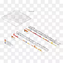 Ʒ���ߵ����-������