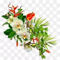 花卉设计切花-空若网 花卉设计切花-空若网