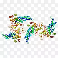 线点生物剪贴画线-空若网 线点生物剪贴画线-空若网