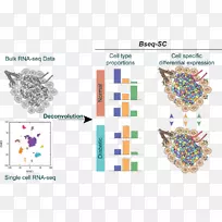 车身珠宝线字体-珠宝-空若网 车身珠宝线字体-珠宝-空若网