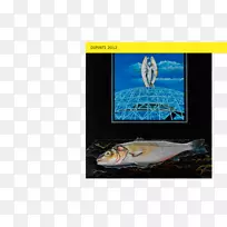 生态系统动物广告海洋生物学-空若网 生态系统动物广告海洋生物学-空若网