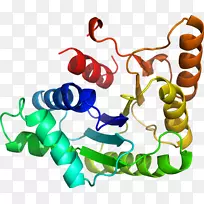 生物线动物剪贴画线-空若网 生物线动物剪贴画线-空若网