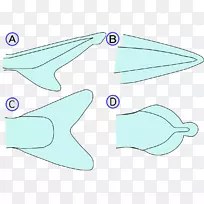 鱼,鱼翅-空若网 鱼,鱼翅-空若网