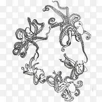 章鱼昆虫视觉艺术线-空若网 章鱼昆虫视觉艺术线-空若网