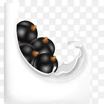 牛奶松饼蓝莓酥饼.蓝莓和牛奶载体-空若网 牛奶松饼蓝莓酥饼.蓝莓和牛奶载体-空若网