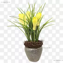 ������ƻ����˹������л�.����-������