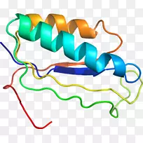 �ߵ������������-������