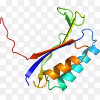 直线点植物茎夹艺术线-空若网 直线点植物茎夹艺术线-空若网
